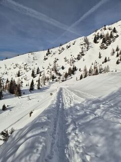 Foto von Arnulf Müller entlang der Tour