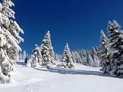 Winterlandschaft Joglland-Waldheimat in der Oststeiermark