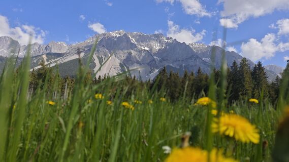 Foto von kurtz entlang der Tour