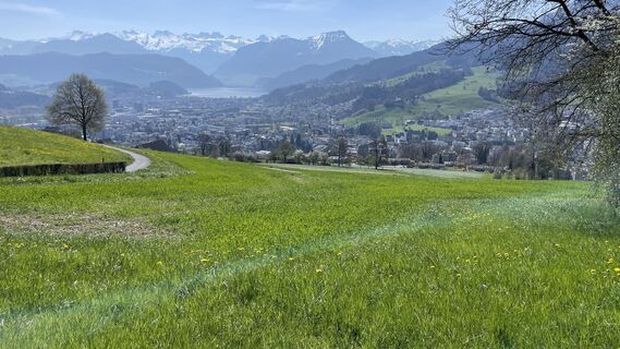 Fotografija s spletne strani Peter Burki na poti