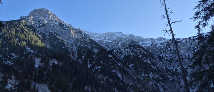 Kuva osoitteesta Bertl 1 matkan varrella