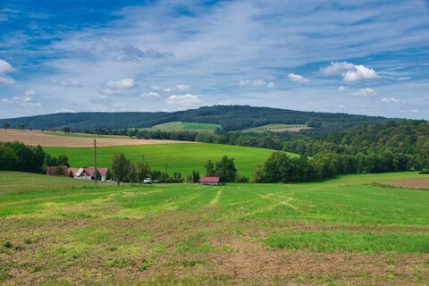 Blick auf den Rochlitzer Berg und die Zöllnitzer Mühle