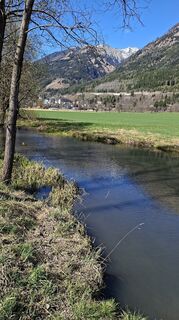 Foto von Mangolein entlang der Tour