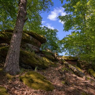 Münchweiler Höhenwanderweg