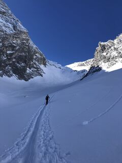 Foto von Heikoala entlang der Tour