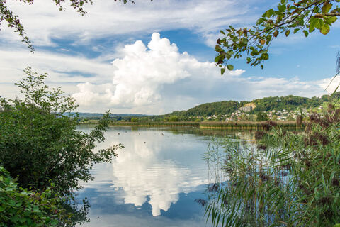 klingnauer-stausee-ufer-mit-spiegelung