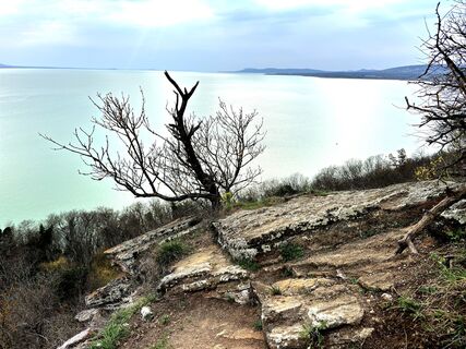 Fotografia z Yojo na trase