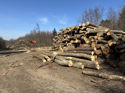 Fotografie z Martin1967 na trase