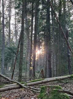 Fotografija s spletne strani Schwartzhox na poti