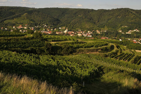 Schönberg am Kamp