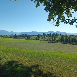 Photo de Alfred Büschl le long du parcours