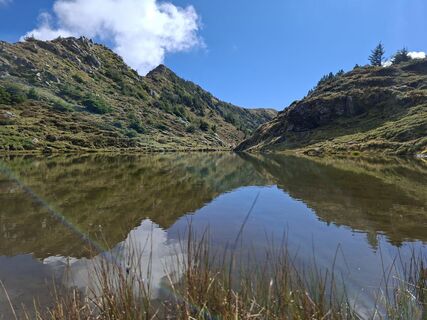 Fotografia z Karl-Heinz Martin na trase