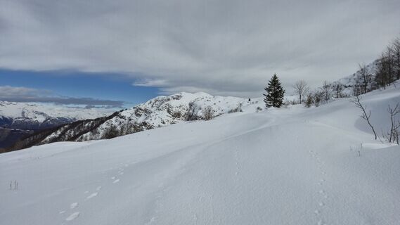 Photo de Fabrizio Plesnizer le long du parcours