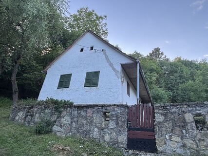 Foto de Reti Alicia a lo largo del recorrido