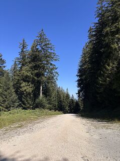Foto de Heinz Sperl a lo largo del recorrido