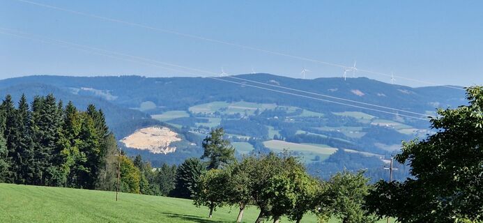 Fotografia z Utassy Tóth Johanna na trase