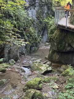 Фото с сайта Gerhard Piglmann во время экскурсии