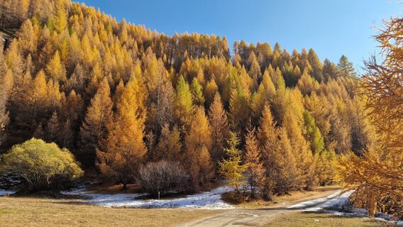 Fotografija s spletne strani Fabrizi Mellano na poti