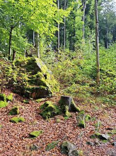 Photo de Markus Eibl le long du parcours