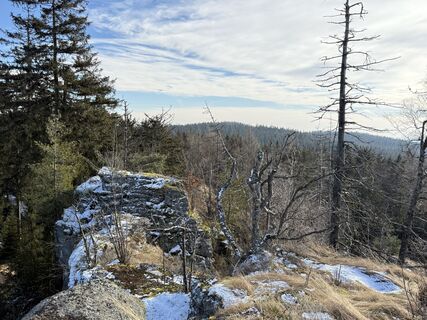 Photo de Norbert Herbig le long du parcours