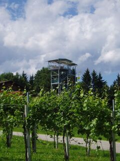 360° Panoramaturm Weingut Garber