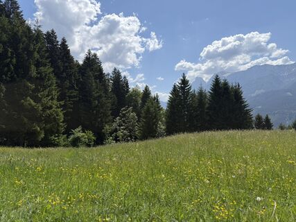 Foto von Michael Strimitzer entlang der Tour