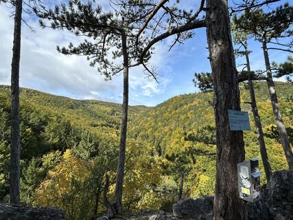 Fotografia z tjiong na trase