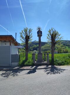 Foto de Chr Lenz a lo largo del recorrido