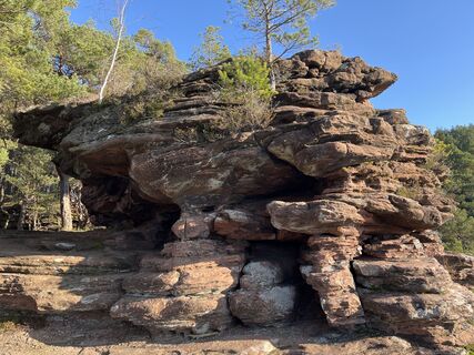 Fotografija s spletne strani Roland Steinfadt na poti