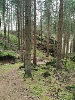 Foto de Michael Leisser a lo largo del recorrido