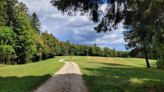 Fotografie z Max Gisler na trase