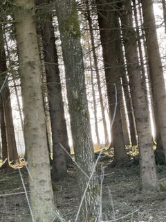 Fotografie z Sabrina Steinkellner na trase