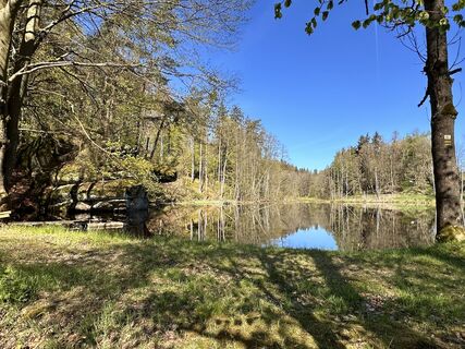 Fotografia z Norbert Herbig na trase