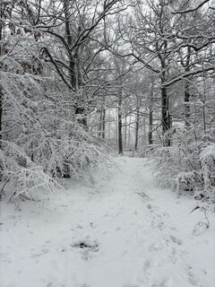 Foto de Barbara Király 1 a lo largo del recorrido