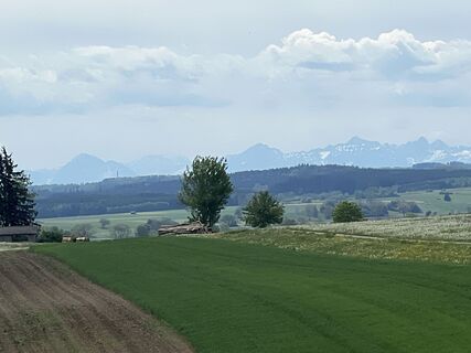 Photo de Harald Mang le long du parcours
