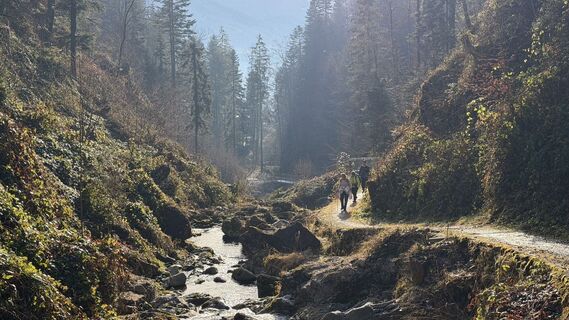 Fotografija s spletne strani Herbert Elbl na poti