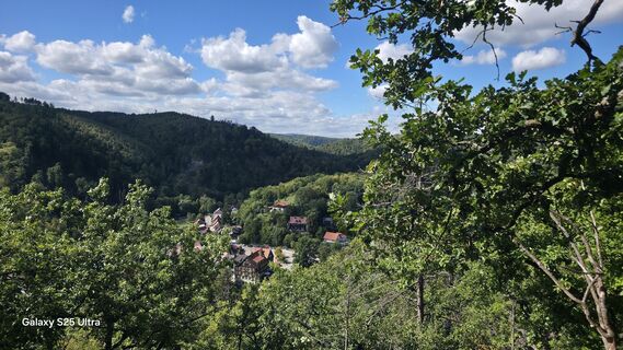 Foto von Martbaer entlang der Tour