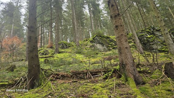 Foto de Edit Szoboszlay a lo largo del recorrido