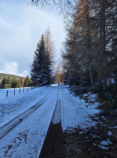 Foto da Dagmar Hofer lungo il tour