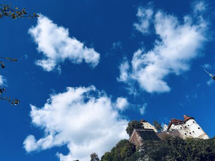 Foto von Blue Chili entlang der Tour