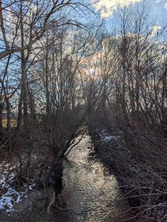 Photo de Weggefährtin le long du parcours