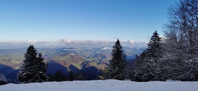 Fotografie de la Klaus Lehner de-a lungul turului