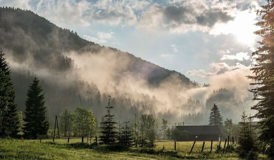 Hinterwildalpen und der Nebel löst sich
