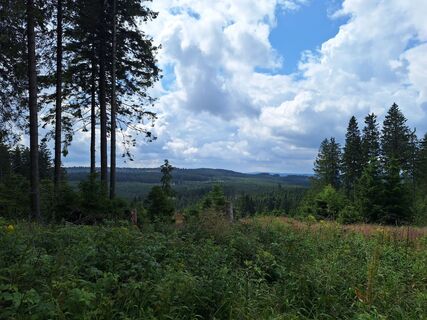 Fotografie z Pepijn ter Bals na trase