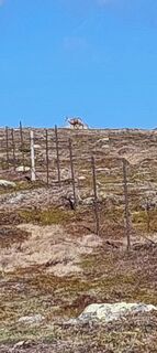 Foto von Max P. entlang der Tour