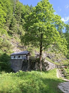 Foto von Filou und Luna entlang der Tour