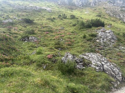 Telfes im Stubai, Tirol/Österreich
