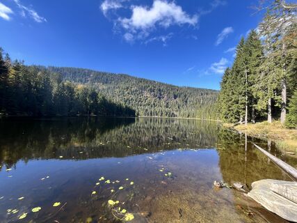 Foto de Stefan Huth a lo largo del recorrido