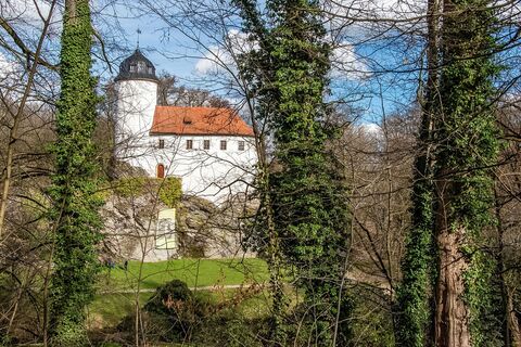 Blick auf Burg Rabenstein