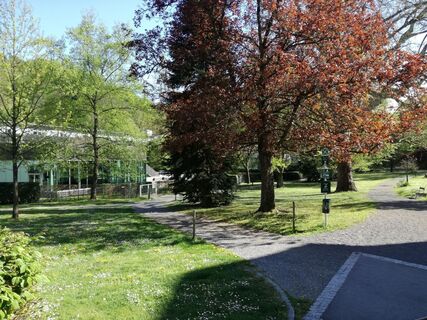 Kurpark mit alten Bäumen entlang der Kraftquellen-Tour im Thermen- &amp; Vulkanland – ein Ort zum Entschleunigen und Durchatmen.